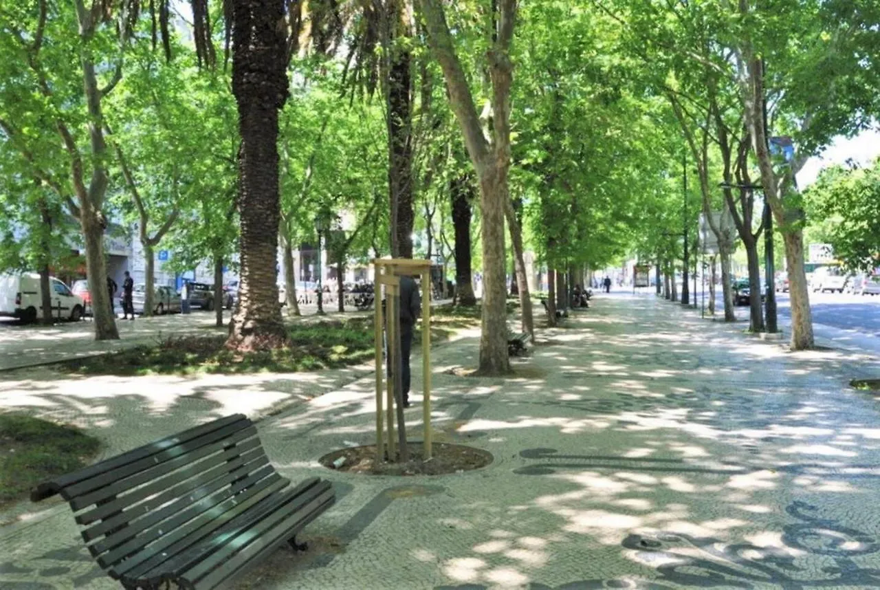 Sj2D Central Baixa New Air Conditioning Spacious And Friendly Lissabon Appartement